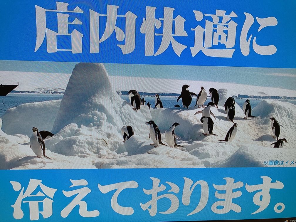 店内冷えてます